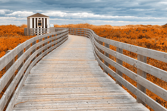 Amber Beach Boardwalk
