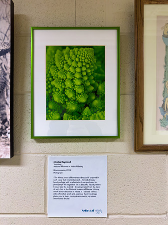 Broccosaurus on Display
