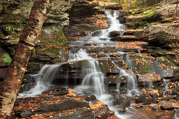 Autumn Garden Creek Falls
