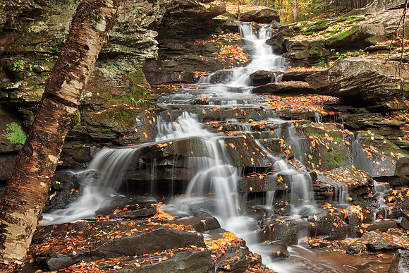 Autumn Garden Creek Falls