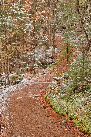 Winding Snow Dust Trail