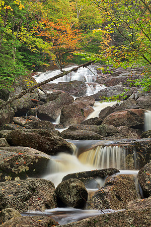 Georgiana Falls