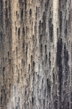 Ether Grunge