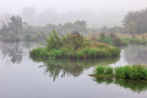 Misty Reflections of Old Crow Wetlands