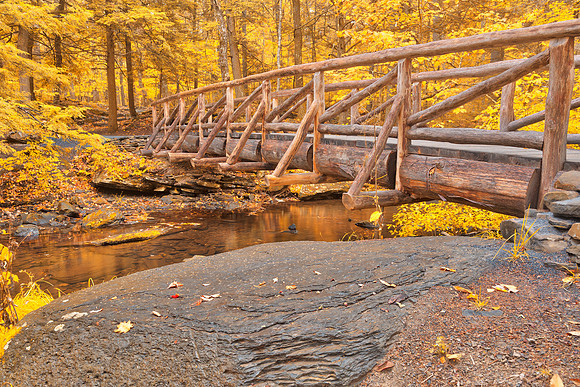 Golden Autumn Log Bridge