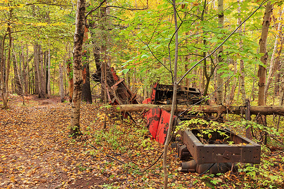 Car Wreck Forest Trail
