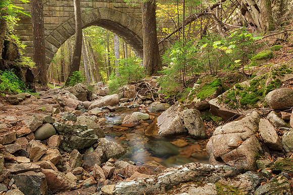 Acadia Carriage Bridge Stream