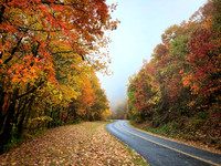 Misty Autumn Road - Blue Ridge Parkway