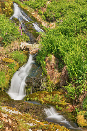 Buttermere Spring Falls