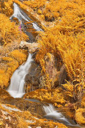 Gold Buttermere Falls