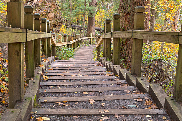 Swallow Fall Stairway