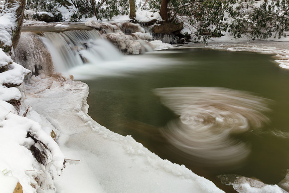 Winter Wings Stream