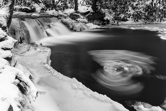 Winter Wing Stream