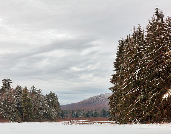 New Germany Winter Pine Park