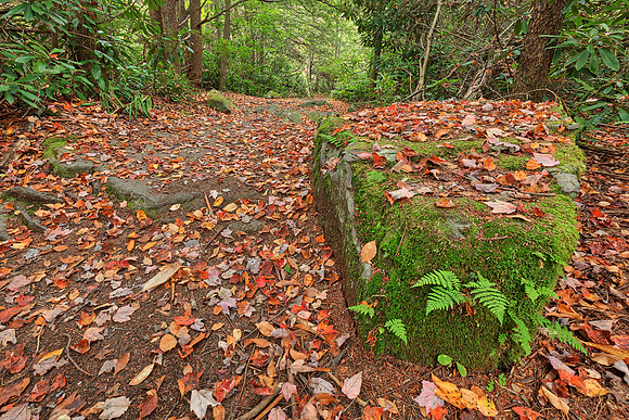 Autumn Moss Boulder Trail