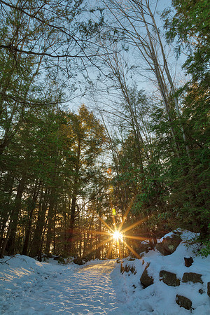 Frozen Sunset Forest Trail