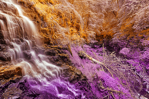 Aberfelltree Fantasy Falls