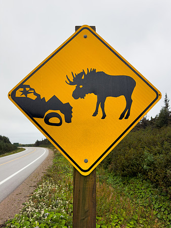 Moose Hazard Road Sign