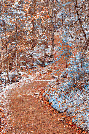 Winding Winter Wonderland