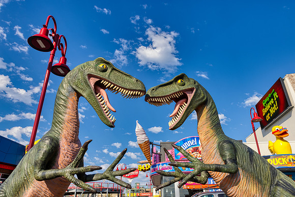 Crazy Dino Love