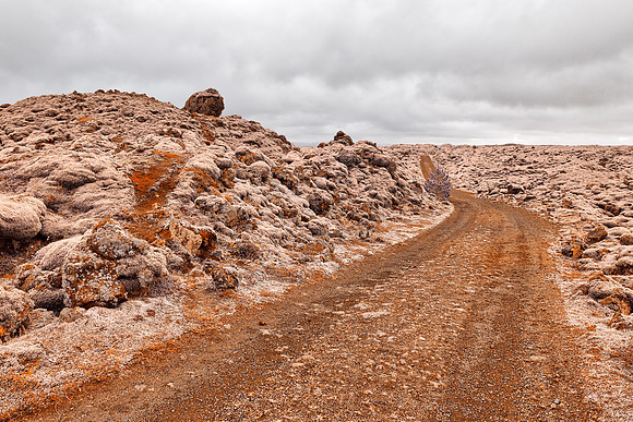 Rugged Moss Cream Trail