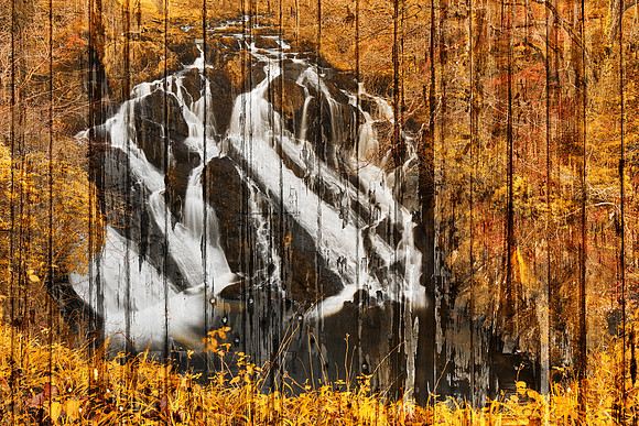 Golden Grunge Panels of Swallow Falls