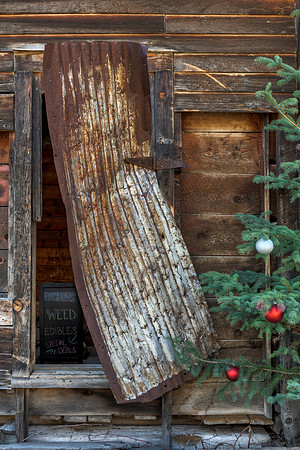Shady Christmas