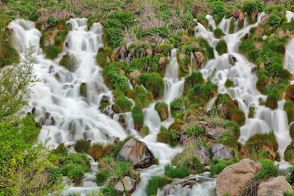 Niagara Springs