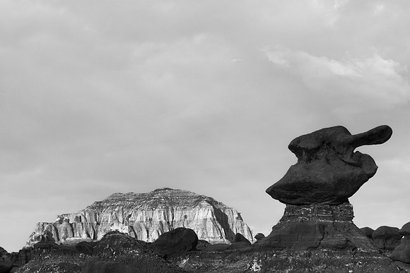Goblin Duck Valley - Black & White