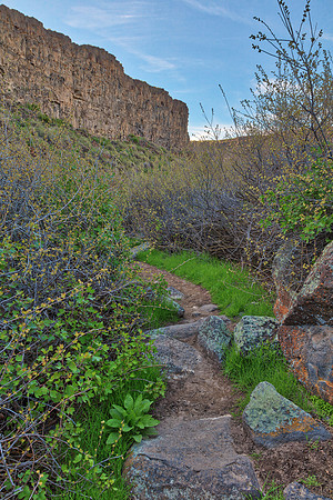 Box Canyon Spring Trail