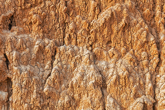 Golden Cracked Clay