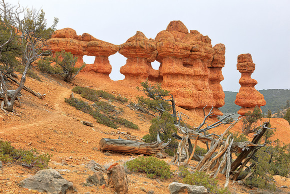 Red Canyon Hoodoo Hike