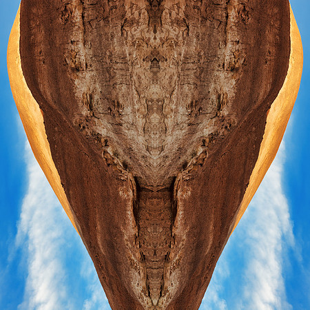 Utah Alien