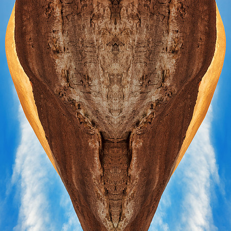 Utah Alien