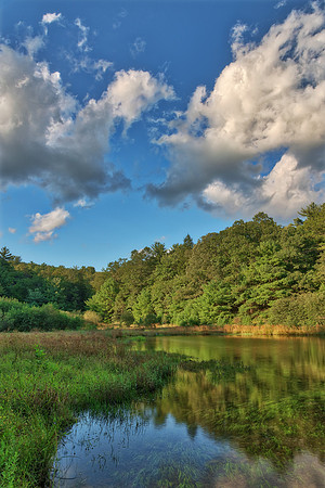 Clashing Pond Clouds