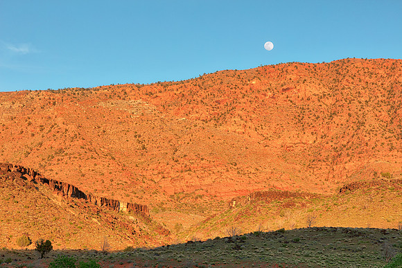 Golden Mountain Moon