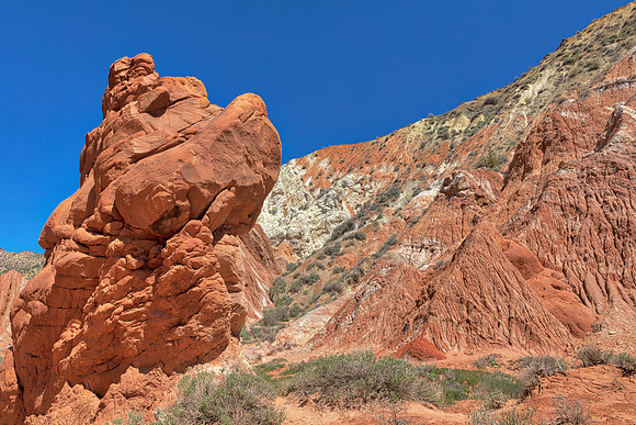Cottonwood Canyon Ogre