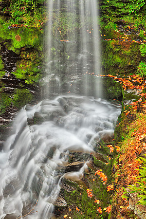 Fulmer Autumn Moss Falls