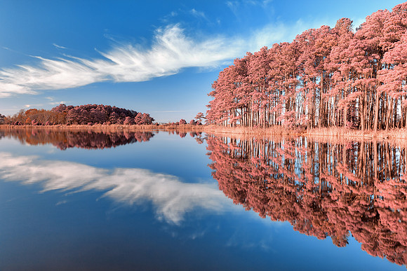 Lake Knapp Reflection - Tickle Me Pink
