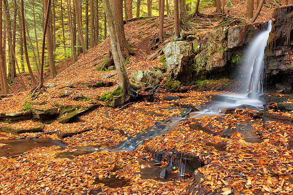 Autumn Dutchman Forest Falls
