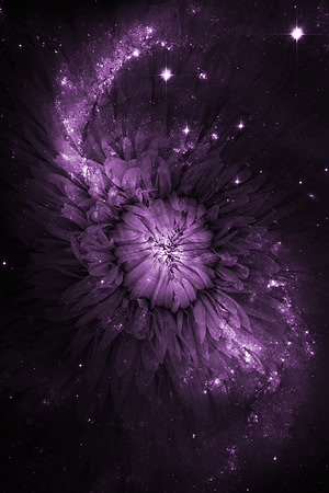 Cosmoflora