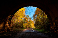 Autumn Tunnel to Nowhere