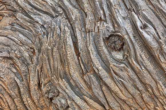 Twisted Wood Grooves