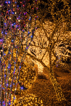Golden Christmas Highlights