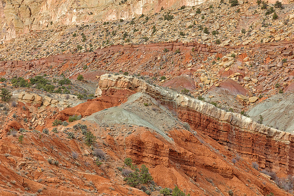 Tilted Capitol Reef Strata