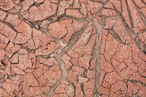 Cracked Earth