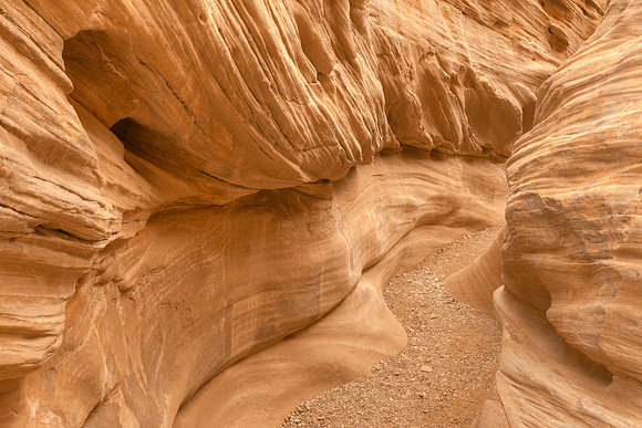 Bell Serpent Canyon