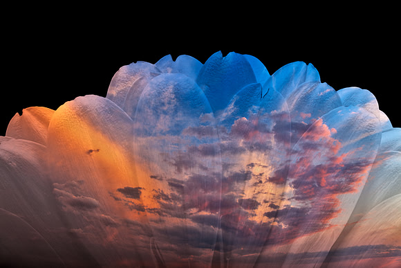 Sunset Daisy Clouds