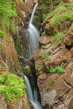 Aira Split Force