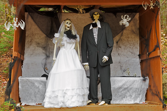 Happy Halloween Forest Wedding
